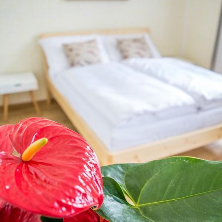 U Cmelaku Hotel Cervena Voda Luaran gambar